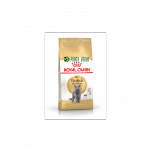 ROYAL CANIN CAT BRITISH SHORTHAIR 2KG